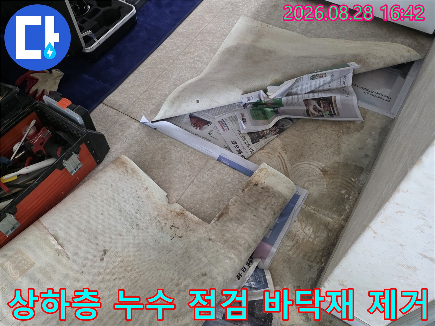 기흥구 상하동 현장에서-누수 지점 탐지를 위해 장판을 걷어낸 모습입니다.