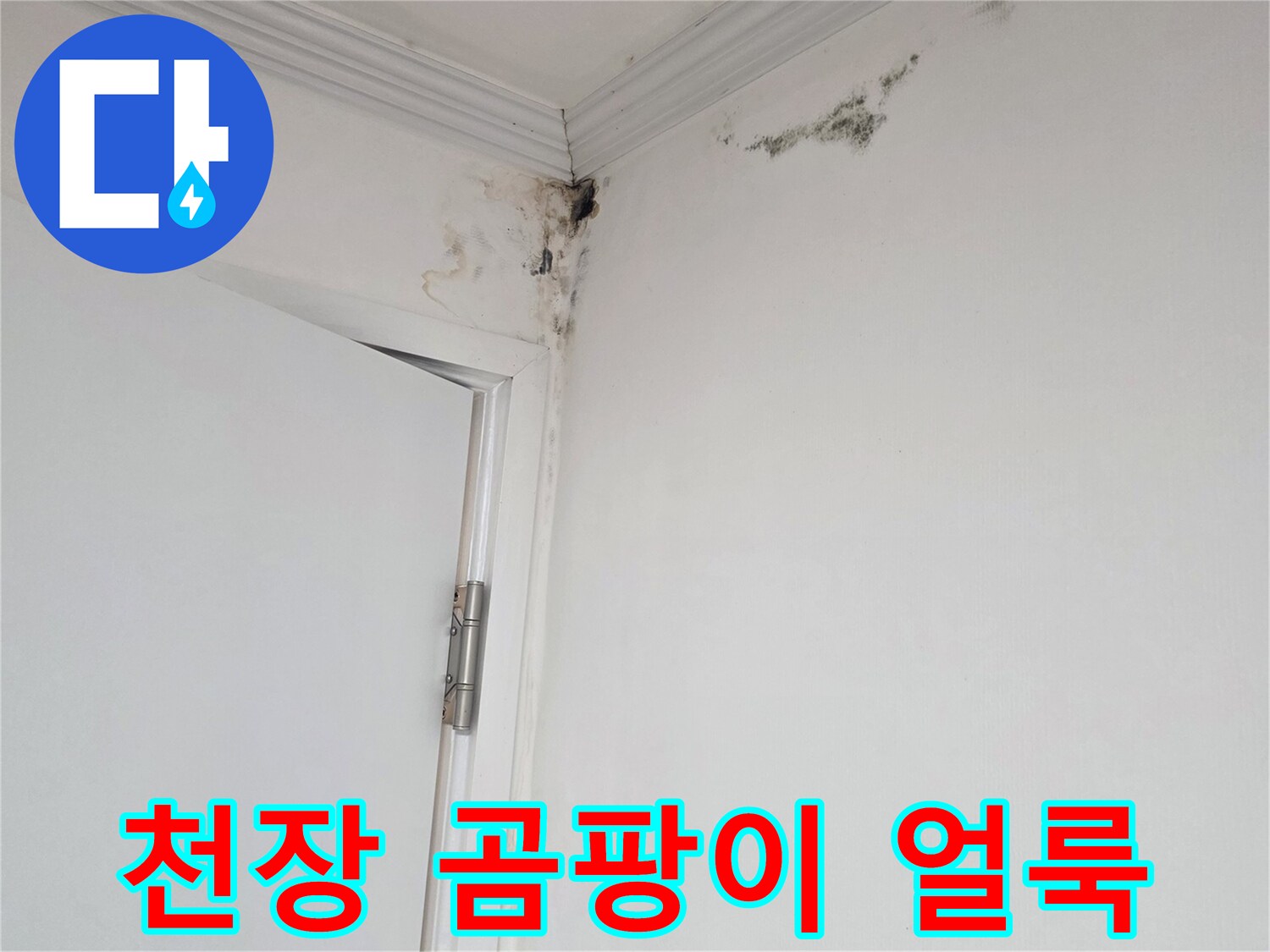 아파트-천장-모서리-곰팡이-및-물샘-흔적