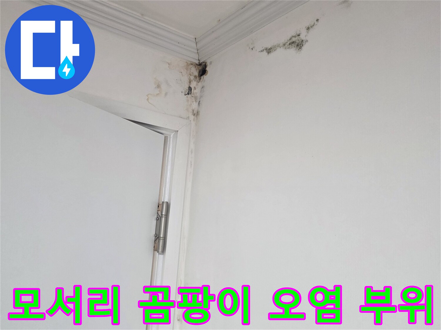 천장과 벽면 접합부의 검은 곰팡이와 습기 흔적 사진