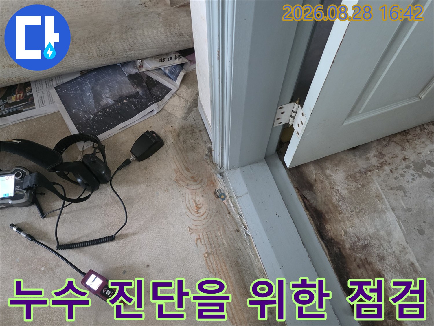 현장 누수 진단-벽면 젖음과 천장 곰팡이 확인 작업