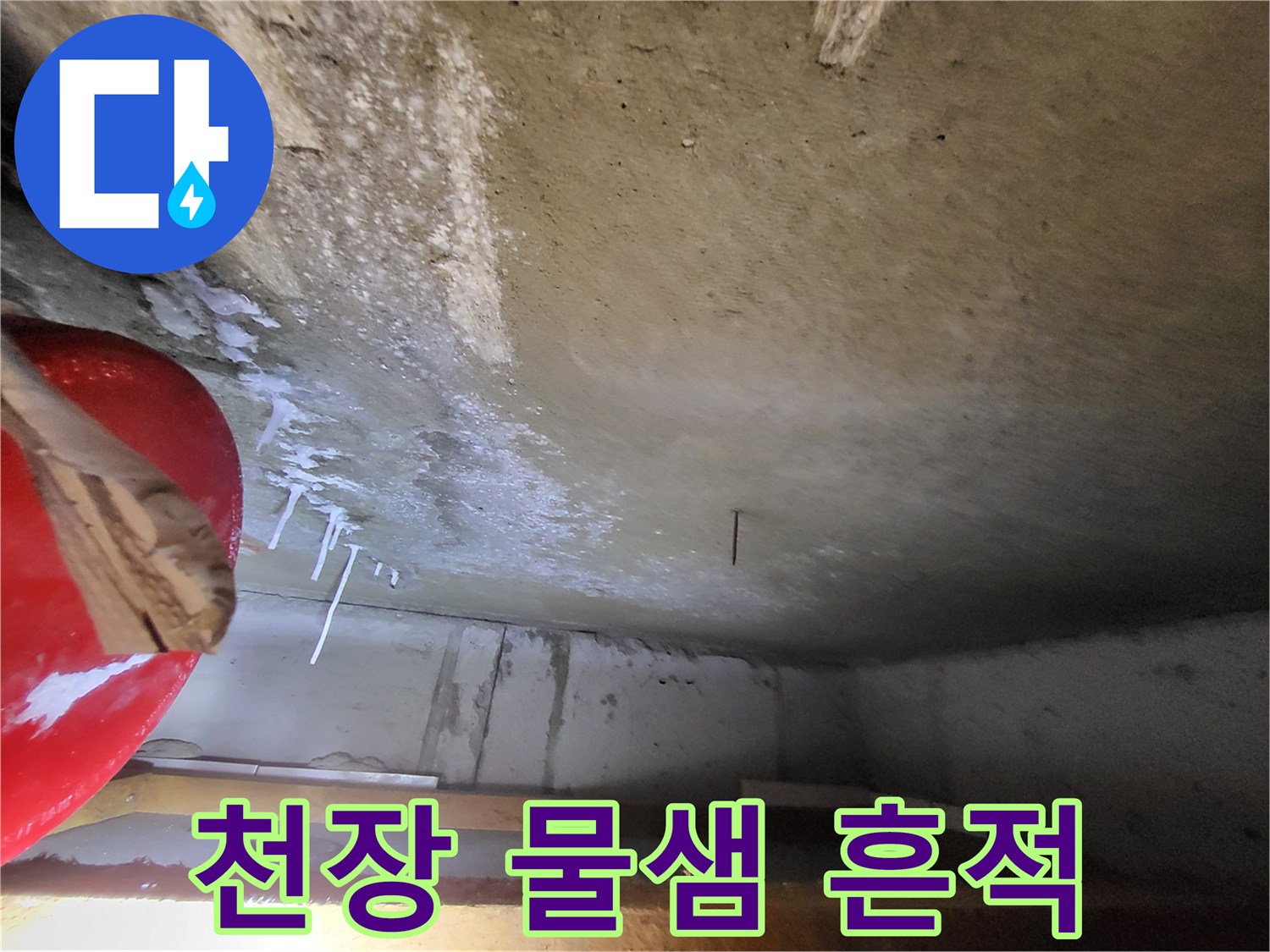하얀 결정체가 맺힌 천장 콘크리트 표면