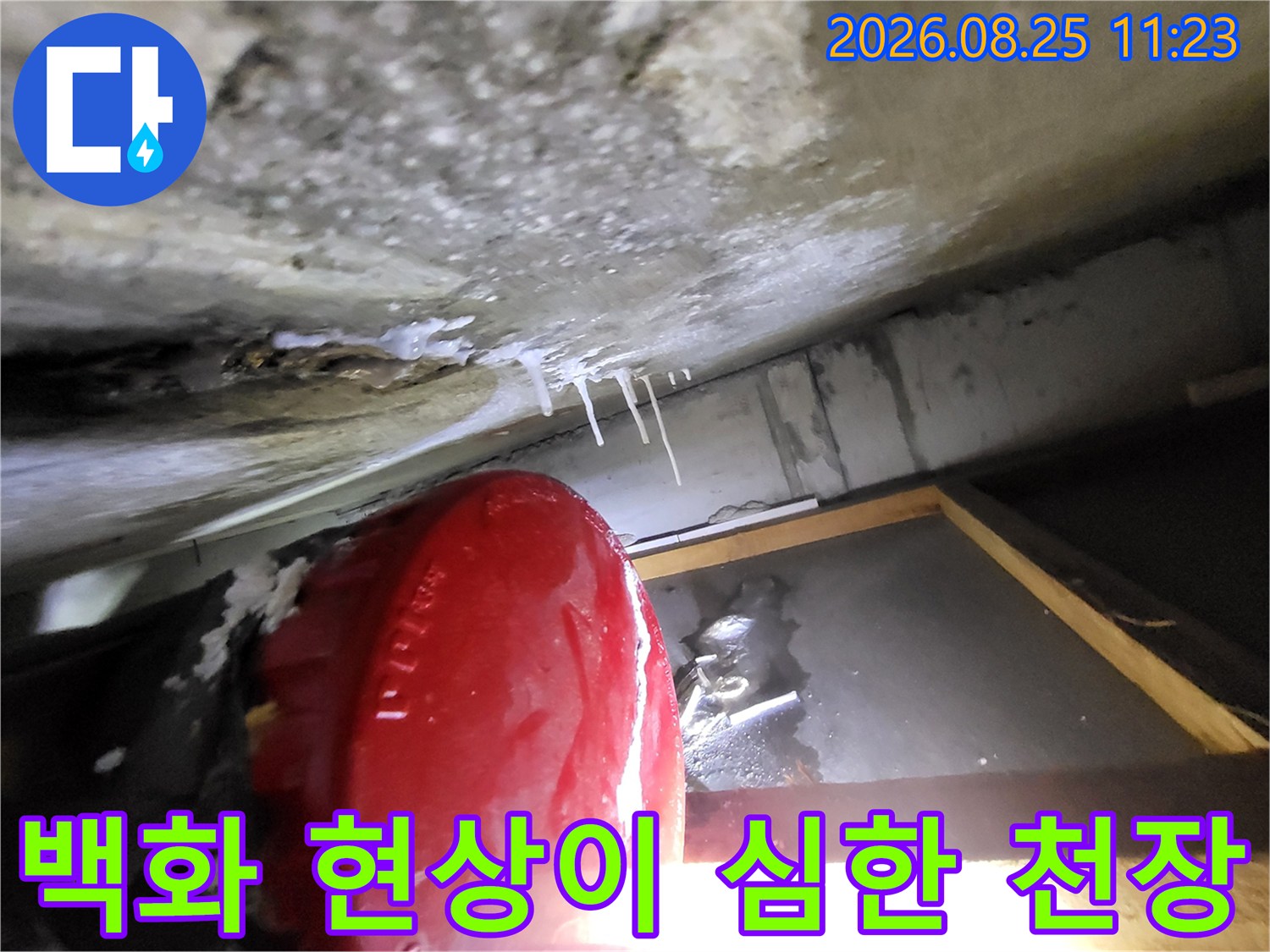 하얀 석회물이 맺힌 화장실 천장 콘크리트 부위