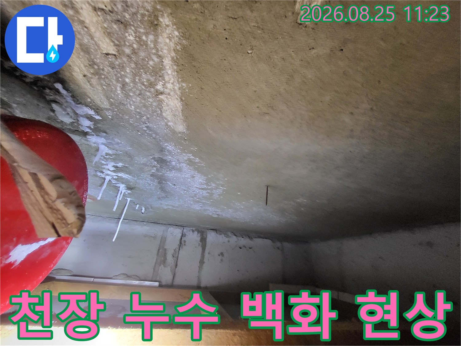 하얀 석회물이 맺힌 화장실 천장 콘크리트의 누수 흔적 사진