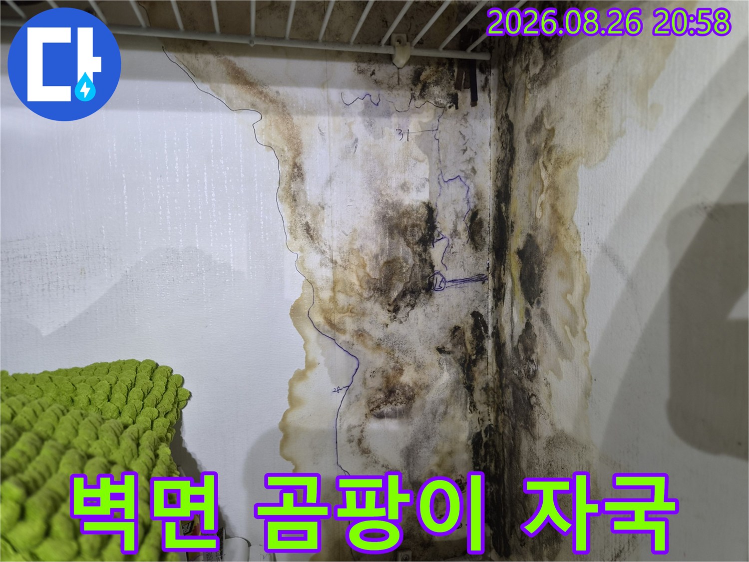 구로구 오류동 현장-벽지 변색과 곰팡이가 발생한 벽면 모습
