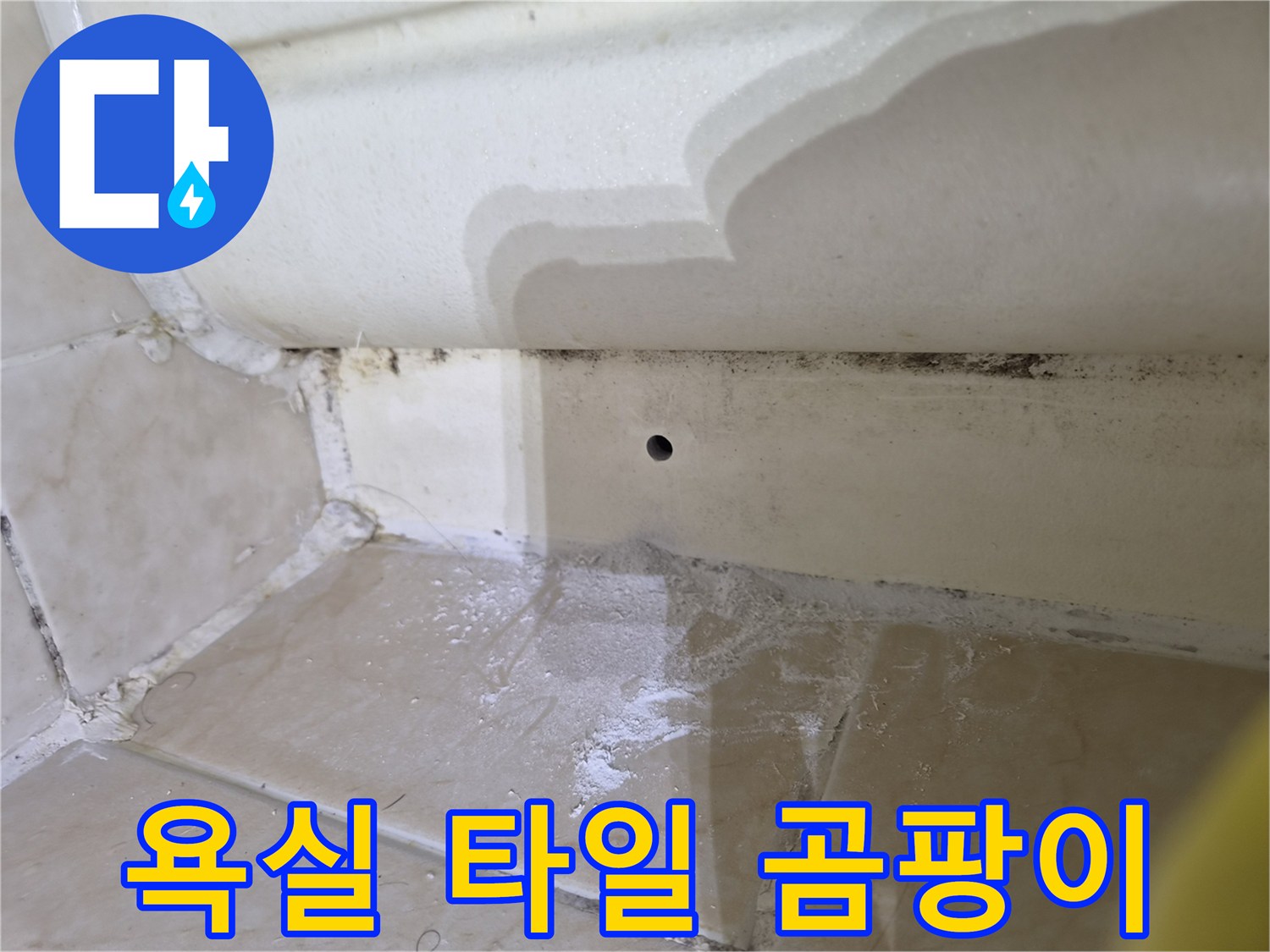 물기가 스며든 타일 줄눈의 변색된 모습