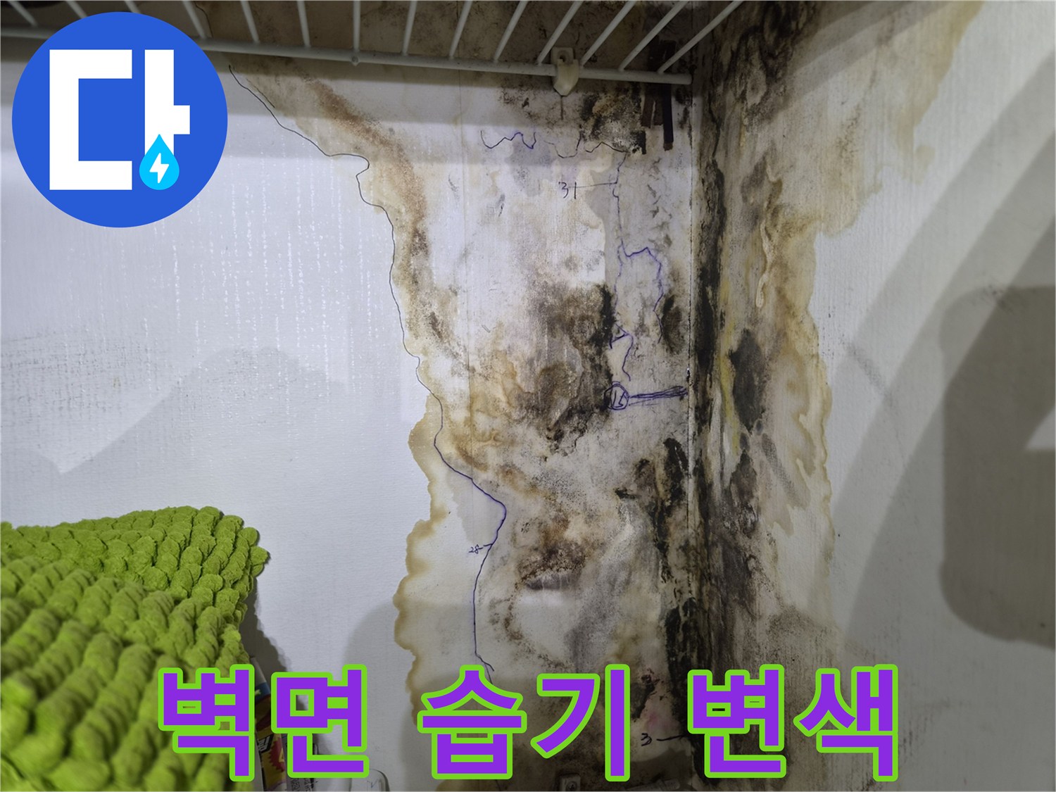 습기로 인해-변색되고 곰팡이가 생긴 벽면