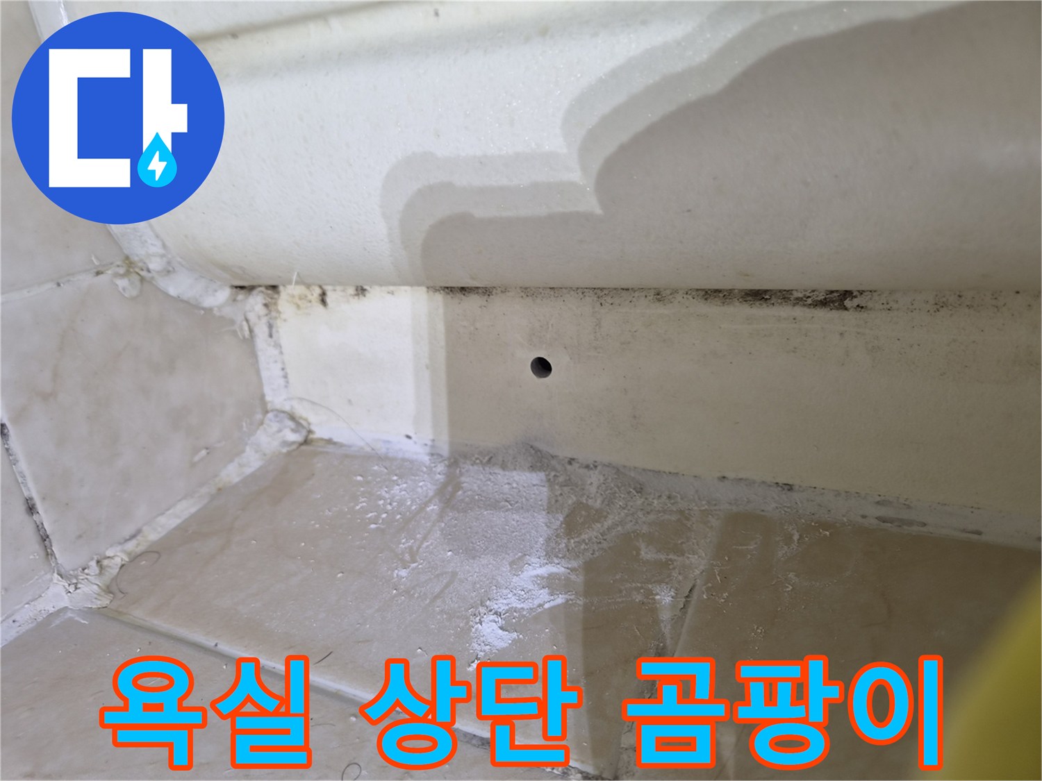 화장실-상부-타일-사이의-습한-곰팡이-발생-부위
