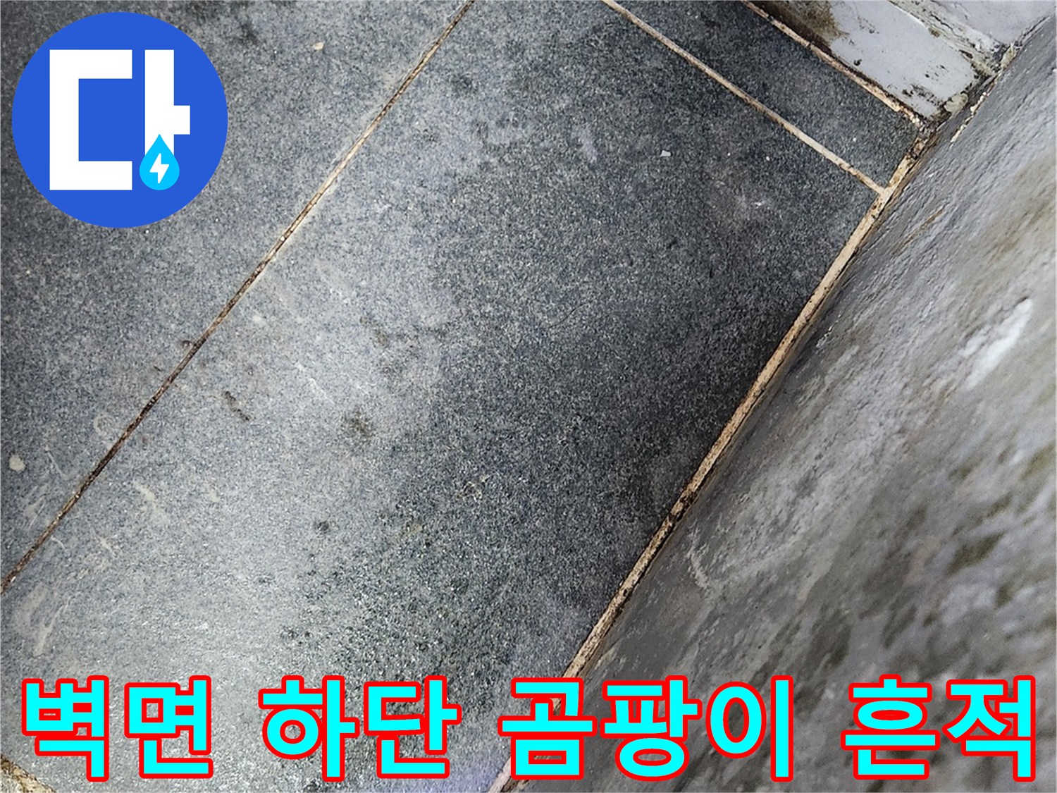 건물 내부 벽체-타일 사이의 습기 유입 및 오염 부위