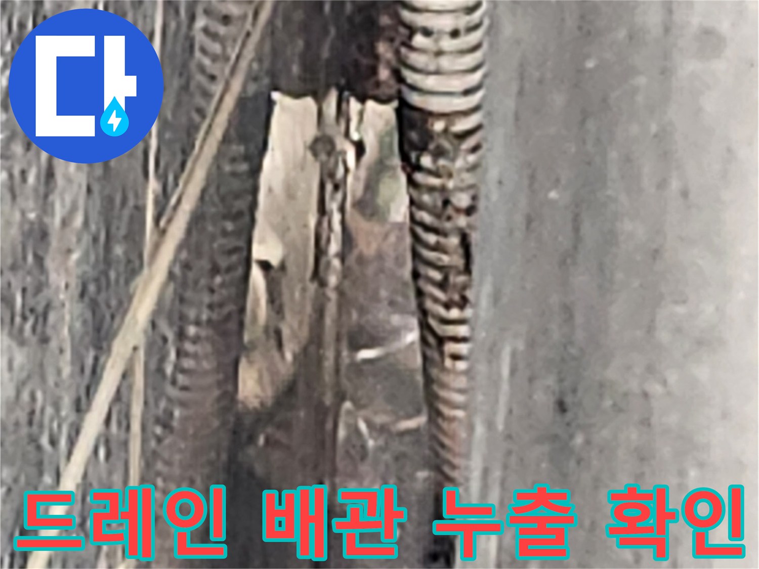 배수-배관-끝단-아스팔트-틈새-물고임-현상