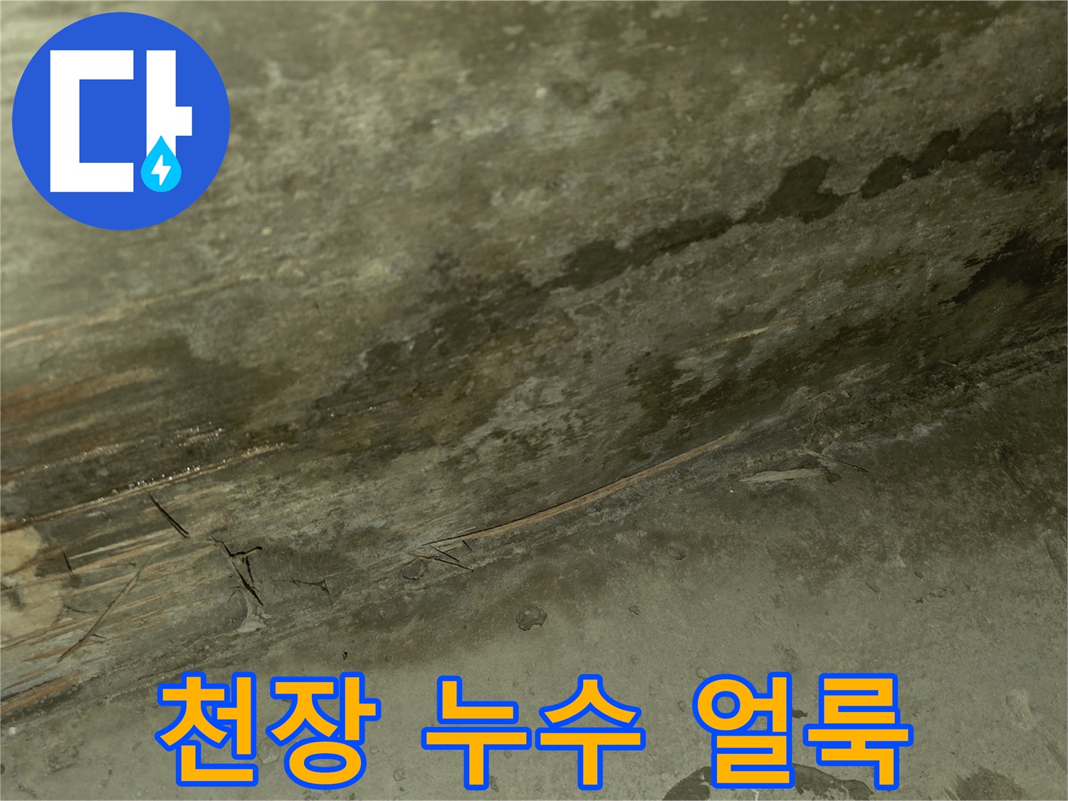 물샘-현상으로-인한-천장-콘크리트-변색-부위