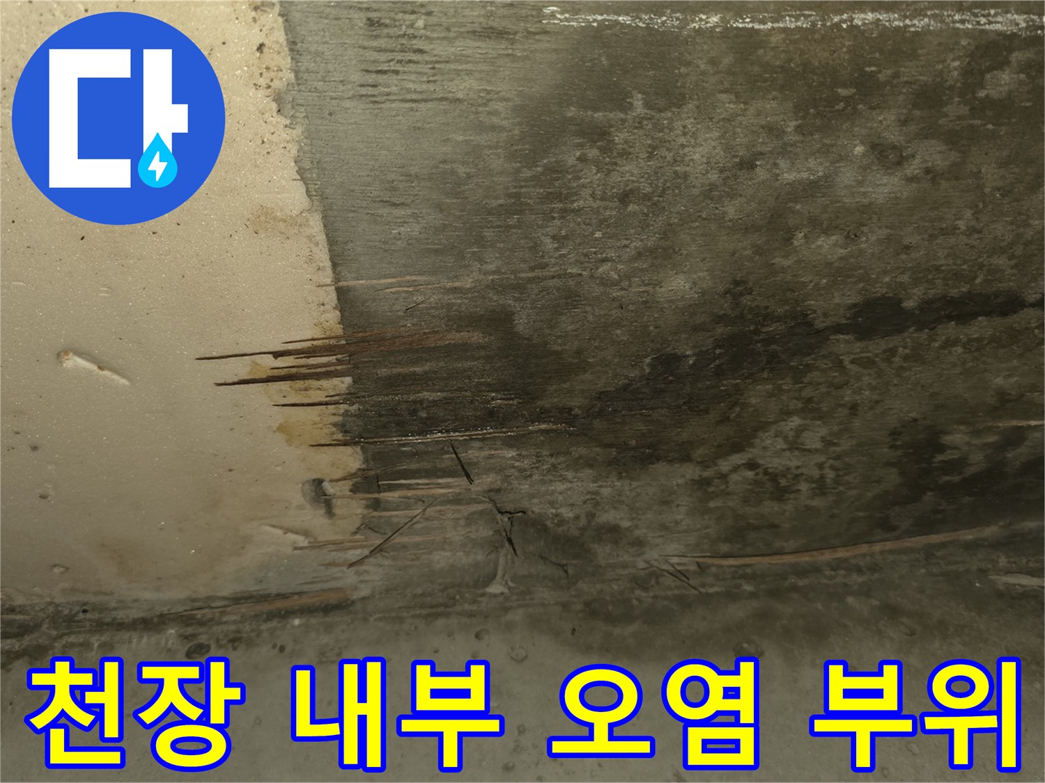 습기로 인해 검게 변한-주방 천장 콘크리트 면