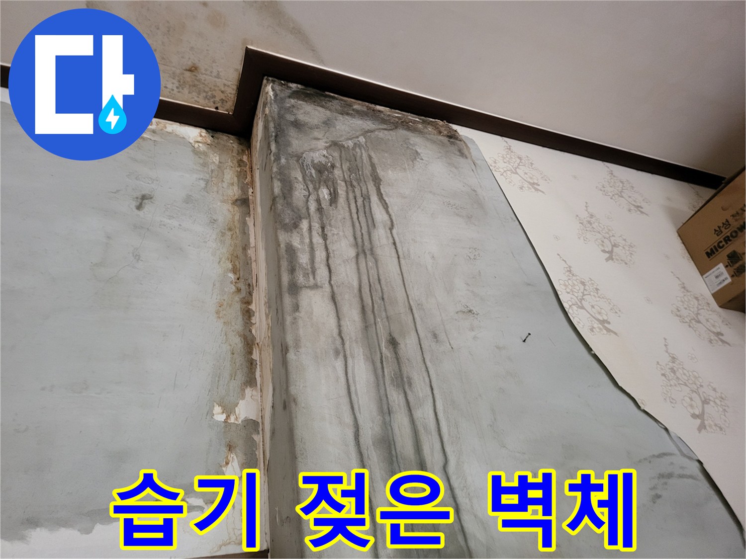 곰팡이와 물자국이 뒤섞인 벽면 하단부