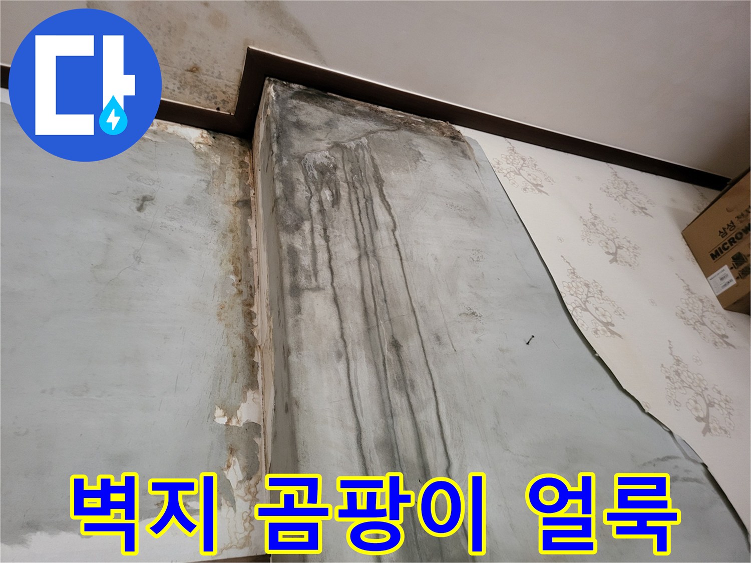 보령 남포면 현장-벽지에 발생한 심한 물자국과 곰팡이 상태