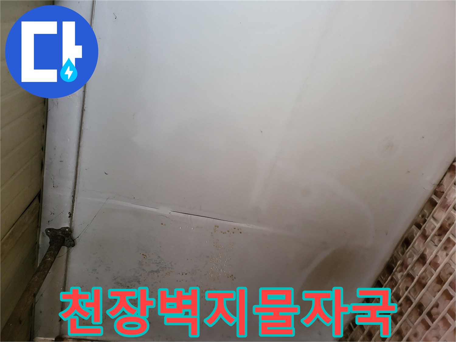 보령 남포면 현장의 물에 젖어 얼룩진 천장 벽지 모습입니다.