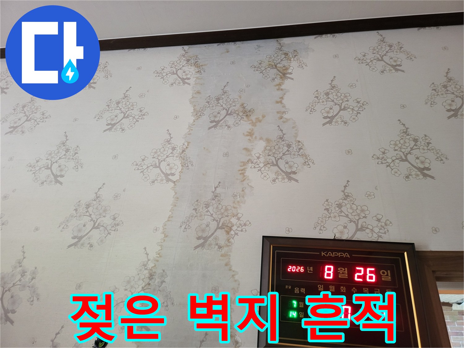 습기와 곰팡이가 발생한 벽면의 모습