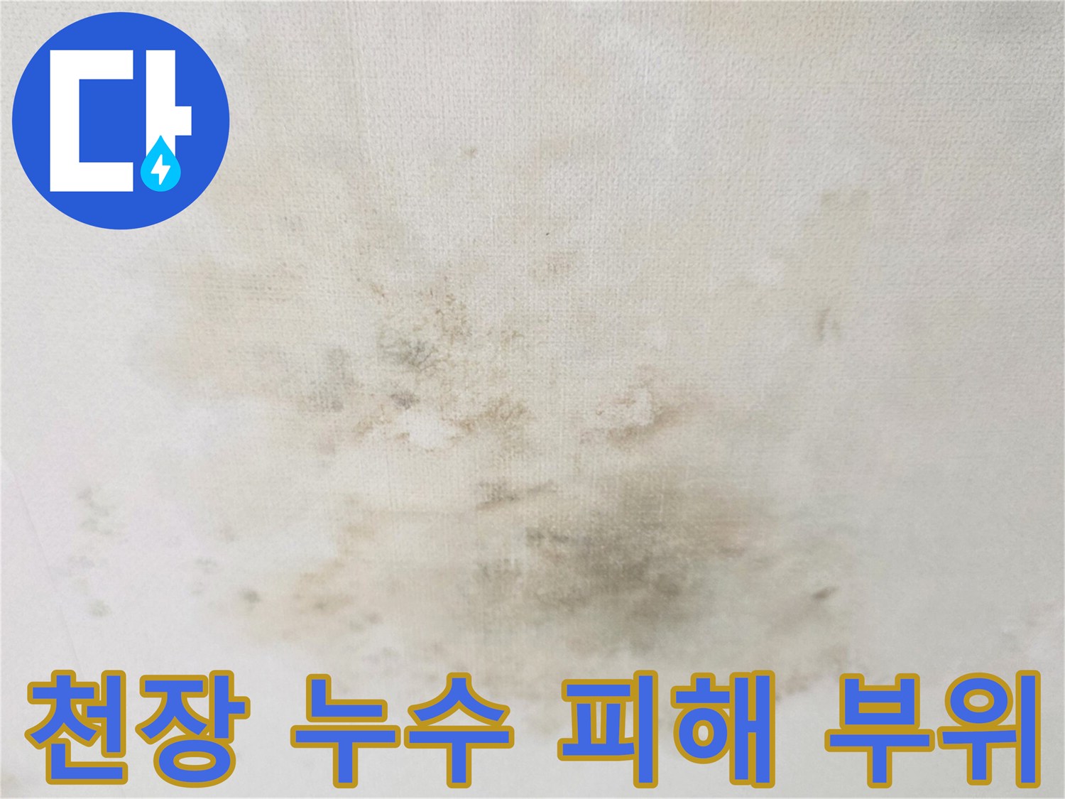 갈색 얼룩과 곰팡이가 동반된 천장 면적