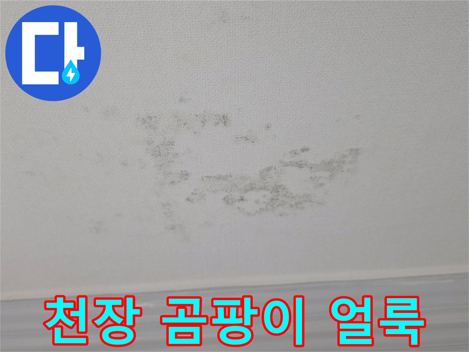광주 송정동 빌라 거실 천장에 발생한 곰팡이와 물자국 상태