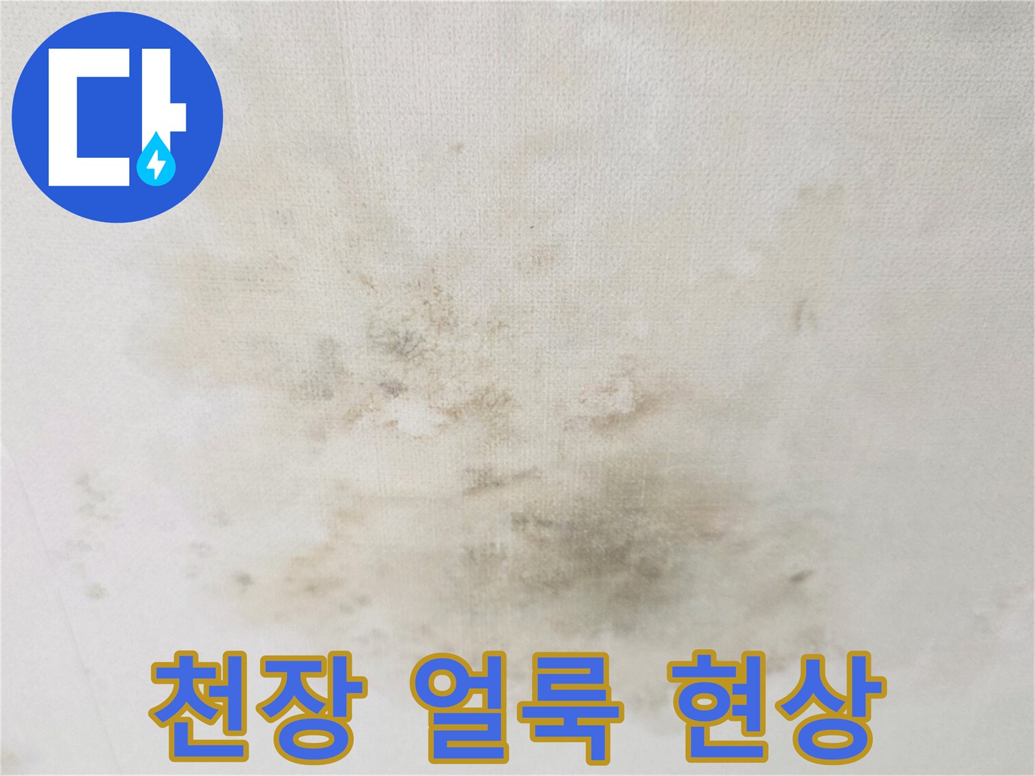 광주 송정동 빌라 거실 천장의 누수 흔적 사진