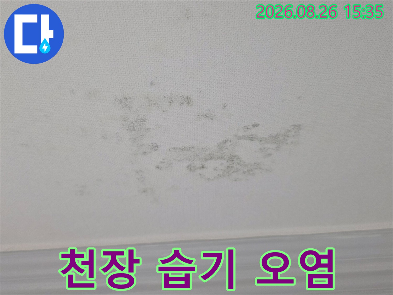 광주 송정동 빌라 천장의 곰팡이와 물샘 흔적
