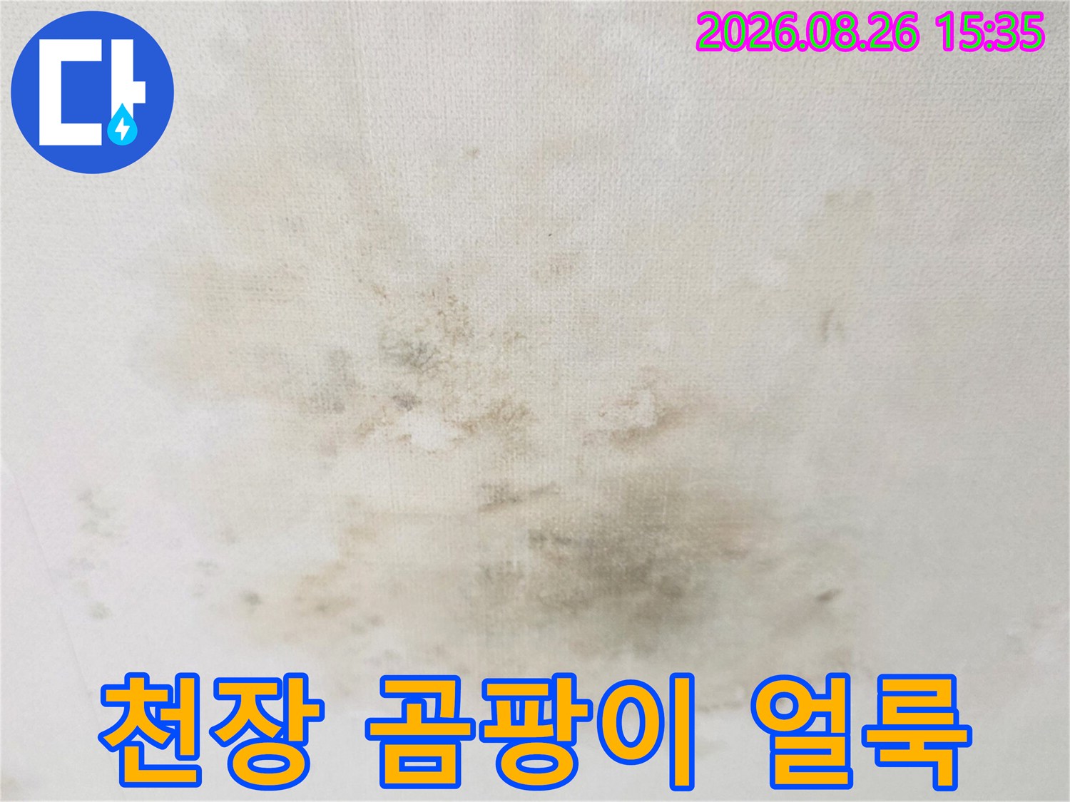 광주 송정동 현장의 천장 누수 및 곰팡이 오염 상태 사진
