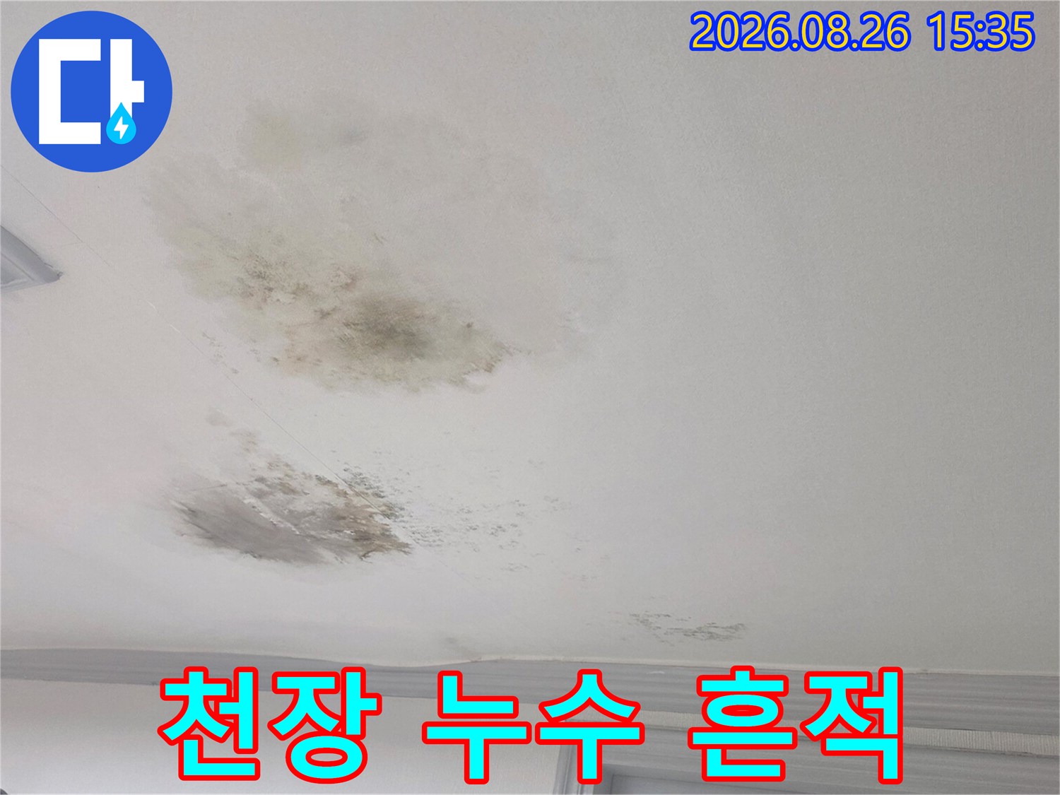 광주 송정동 현장의 천장 물자국 및 습기 침투 부위
