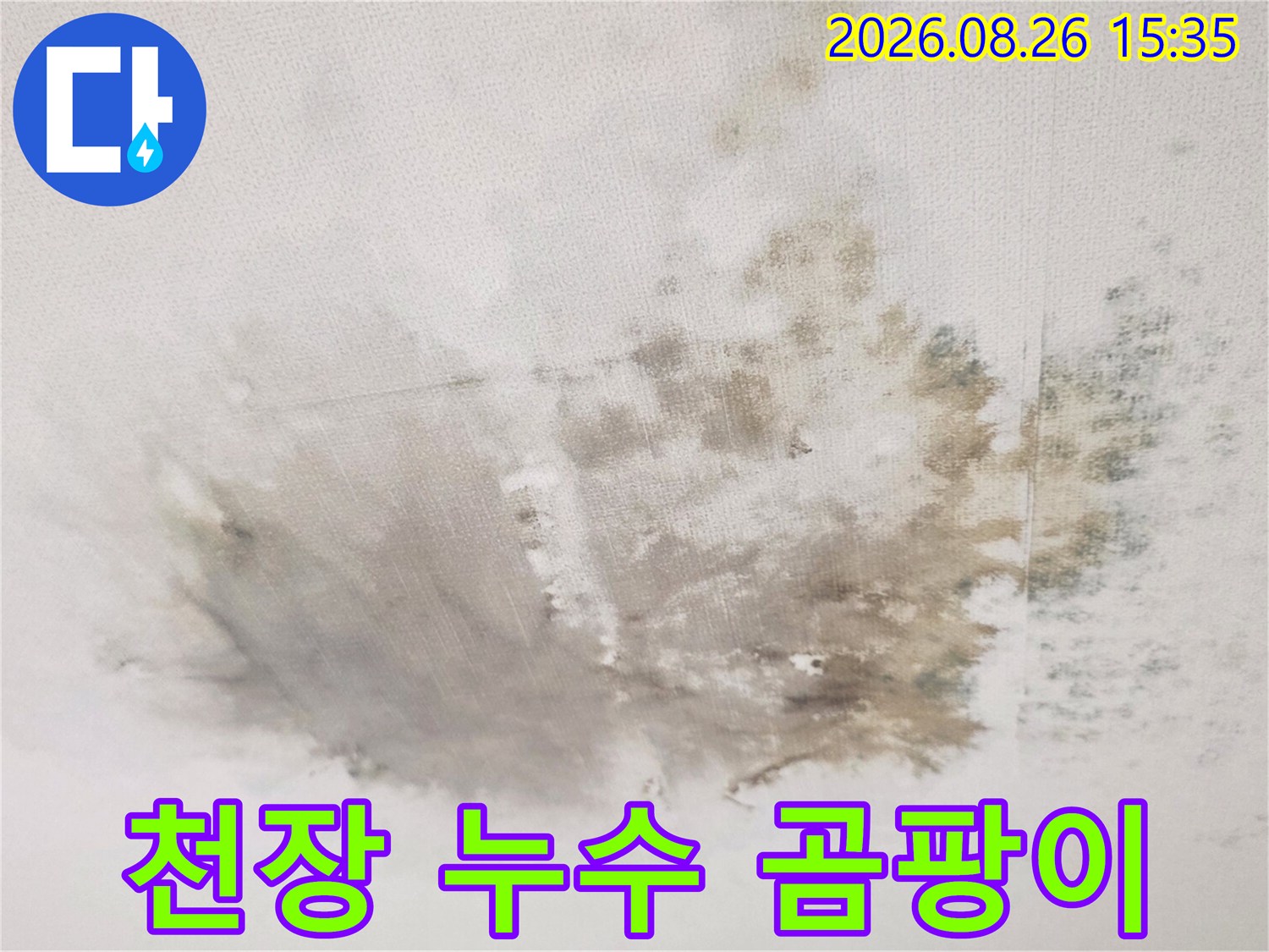 물샘으로 인해 오염된 천장의 전체적인 모습