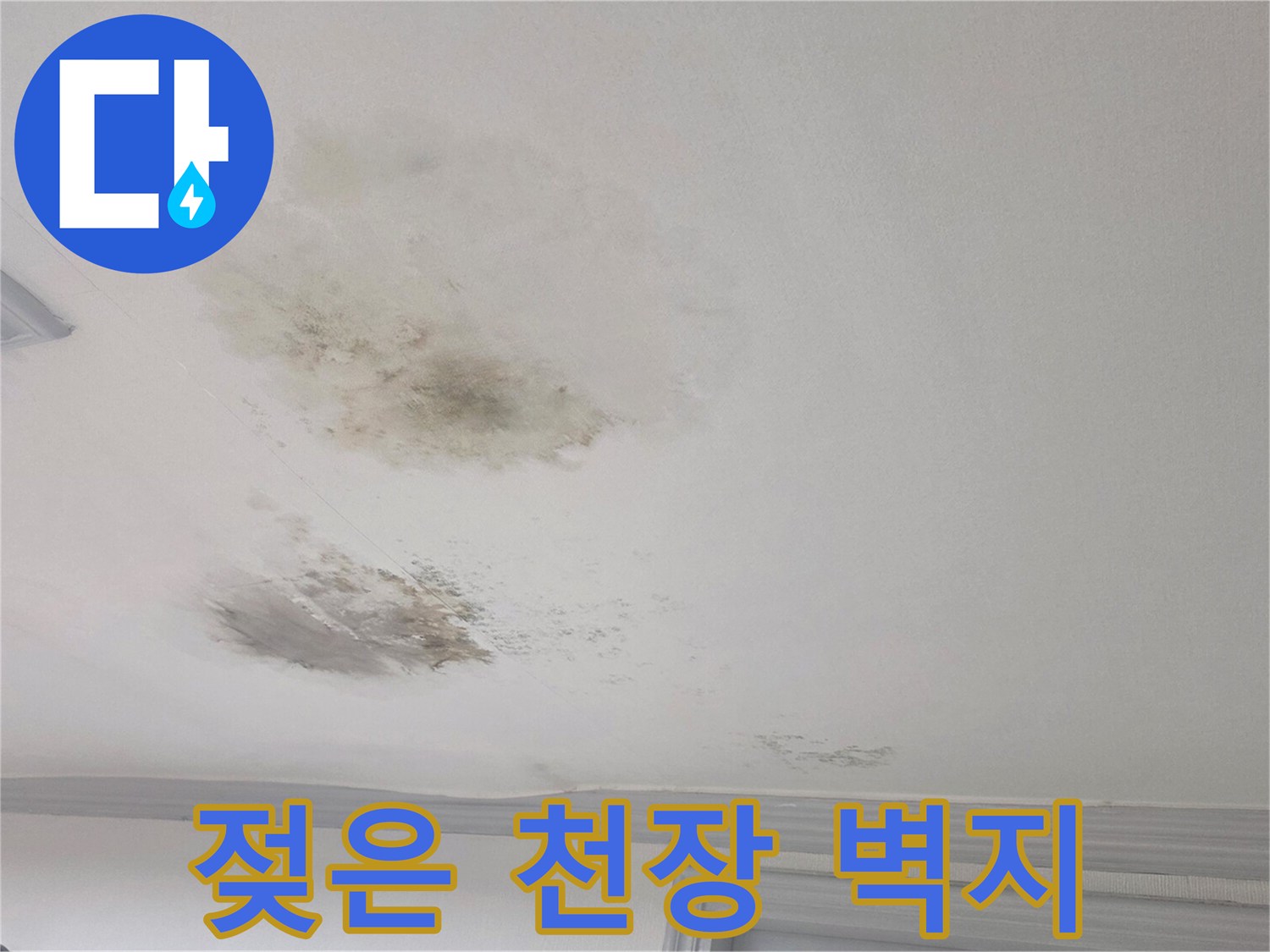 물에 젖어 변색된 거실 천장 부위와 주변 곰팡이 흔적