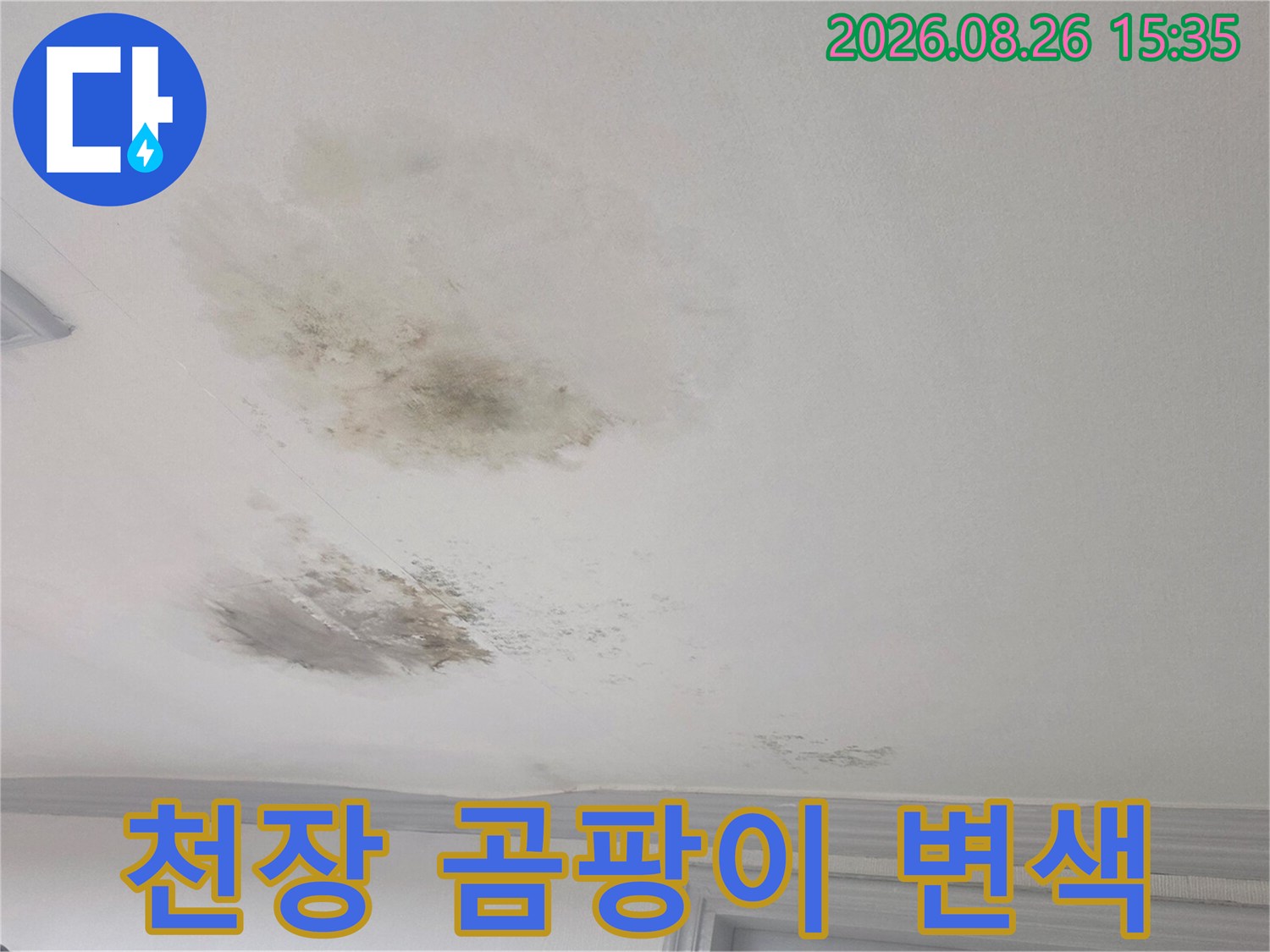 습기로 인해 거뭇하게 변한 천장 마감재의 곰팡이 흔적