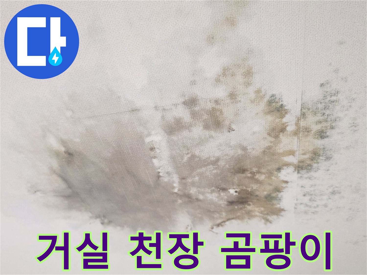 습기로 인해 변색된 거실 천장의 누수 부위