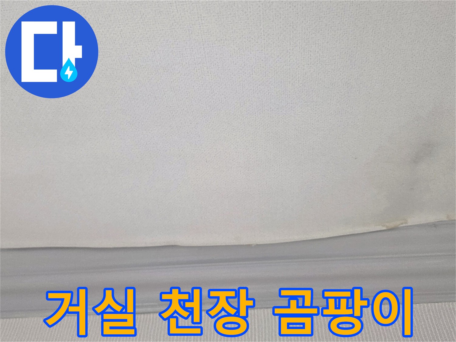 흰색 천장 벽지에 번져 있는 곰팡이와 변색 부위