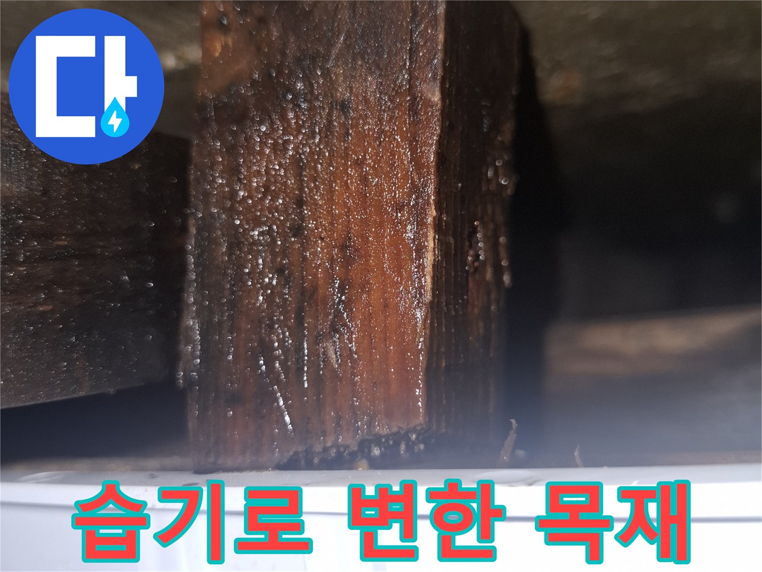 가구-하단부-목재가-물기에-젖어-검게-변한-상태