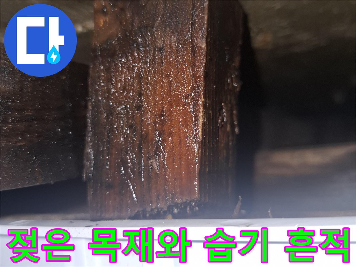 가구 하단부-축축하게 젖어 변색된 목재 구조물