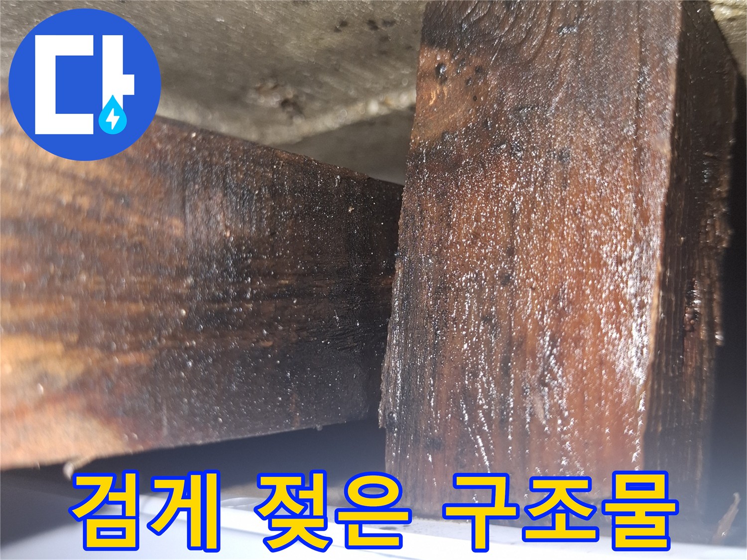 습기로 인해 색이 변하고 눅눅해진 가구 하부 목재