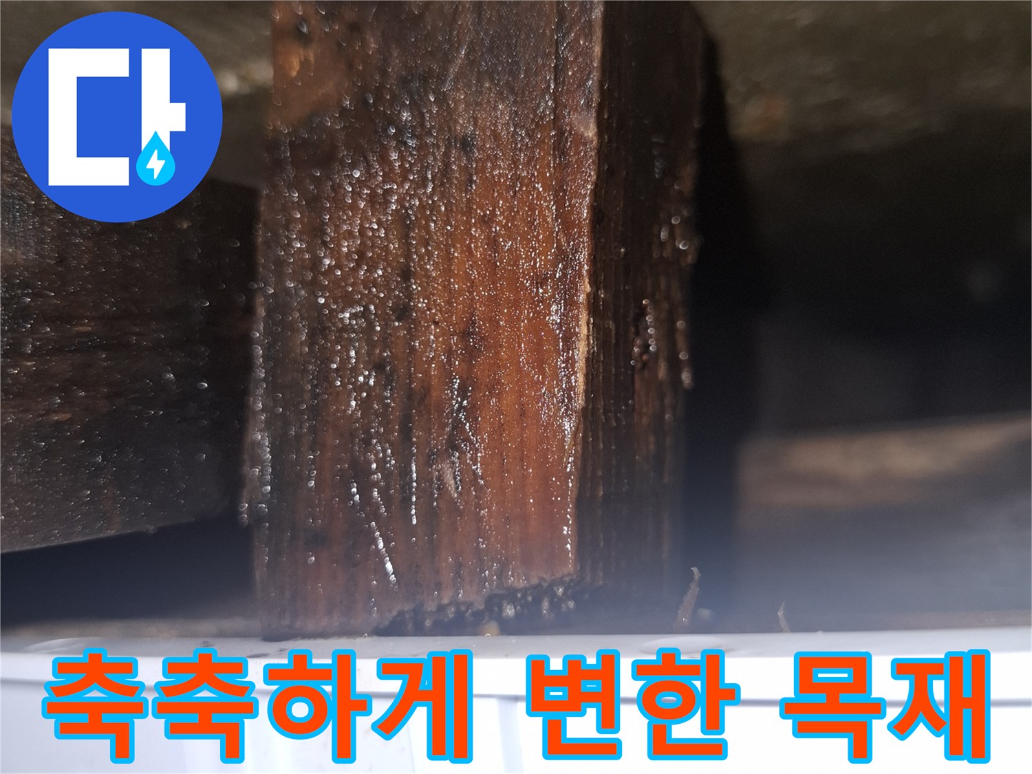 습기에-오염된 가구 내부 나무