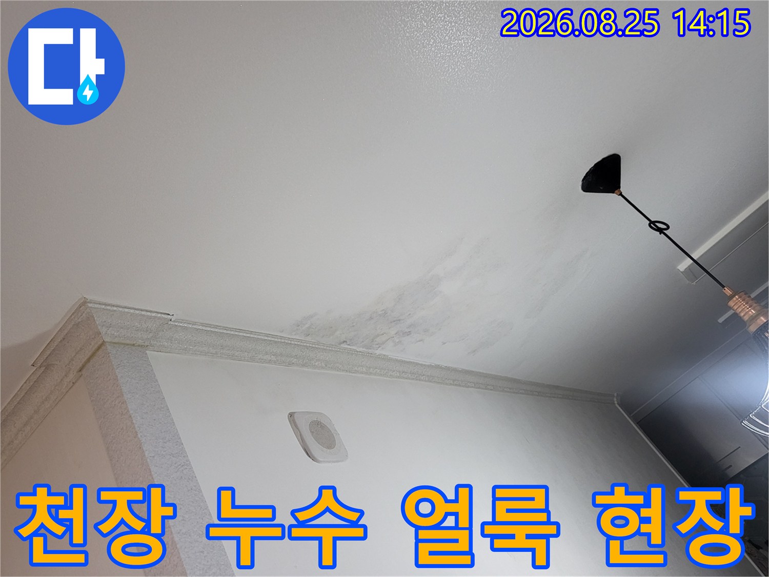 광명 하안동 아파트 천장 벽지에 나타난 누수 흔적과 얼룩