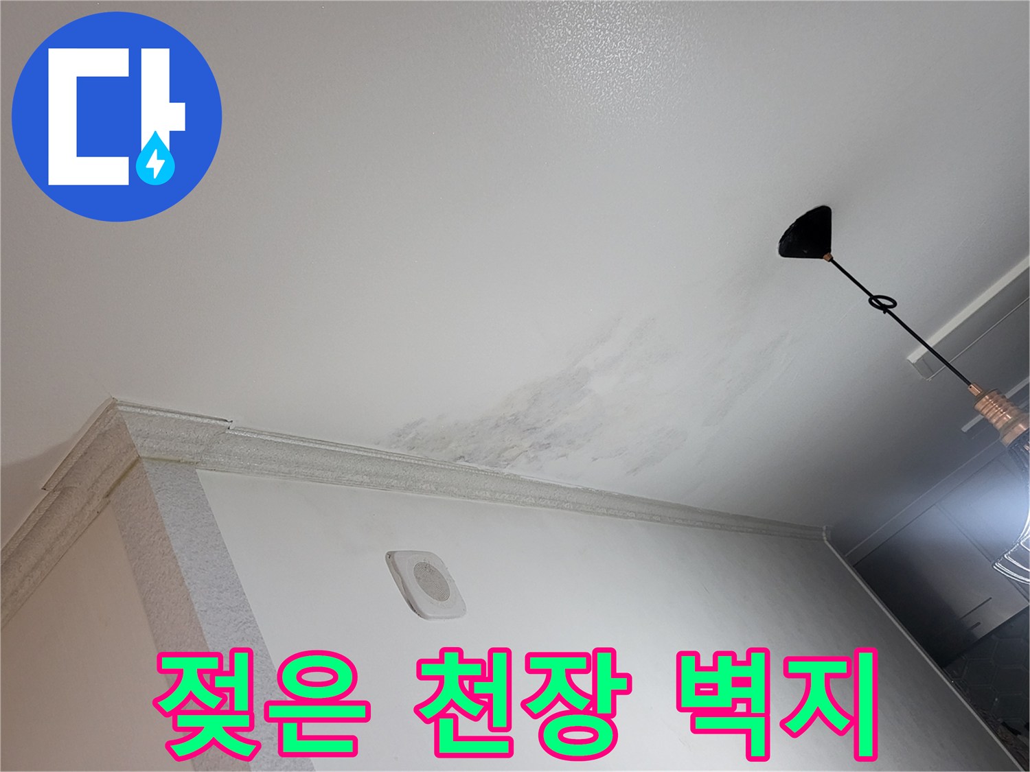 천장 몰딩 주변의 물샘 흔적과 변색된 부위 사진