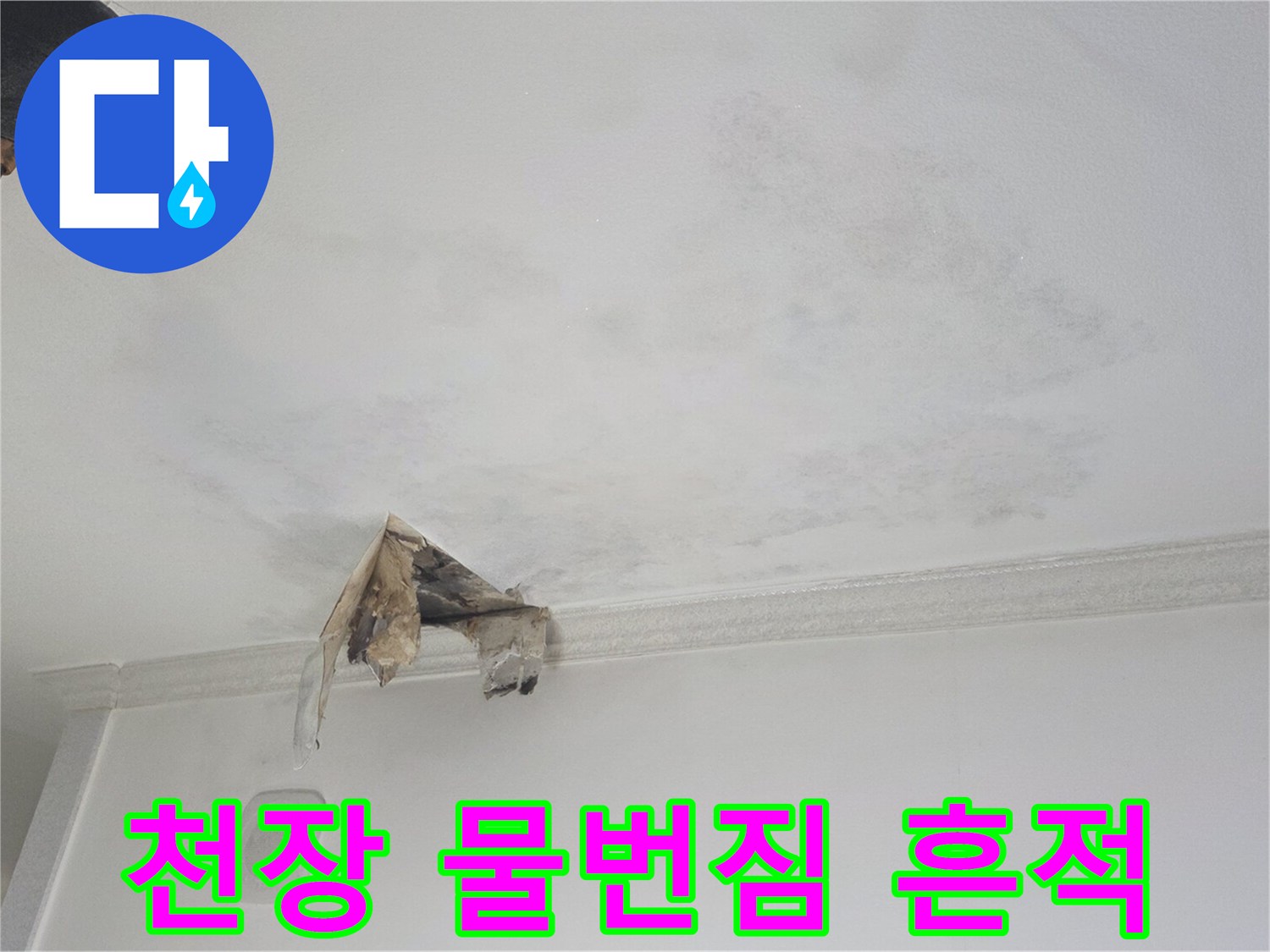 천장-일부-구역의-젖음과-얼룩