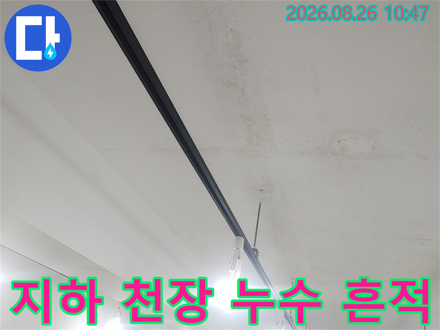 조명 아래로 드러난 천장의 젖은 듯한 얼룩과 변색 부위