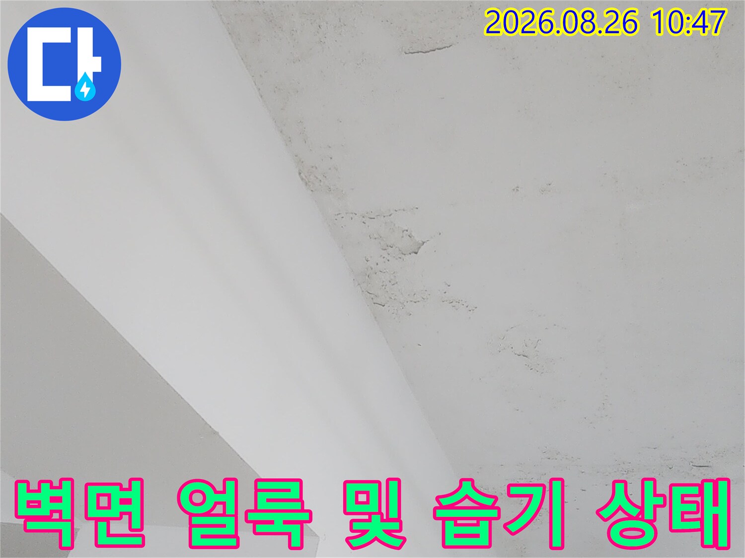 흰색 구조물 벽면에 나타난 젖은 듯한 얼룩 부위