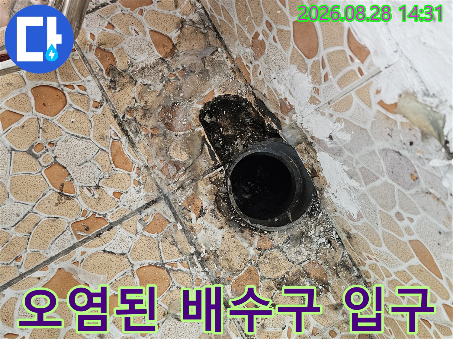 검은 곰팡이가 발생한 노후된 배수관 주변 모습입니다.