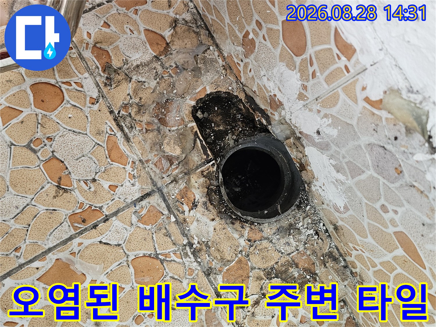 배수구 근처 - 곰팡이와 습기로 인해 변색된 배수관 부근 상황