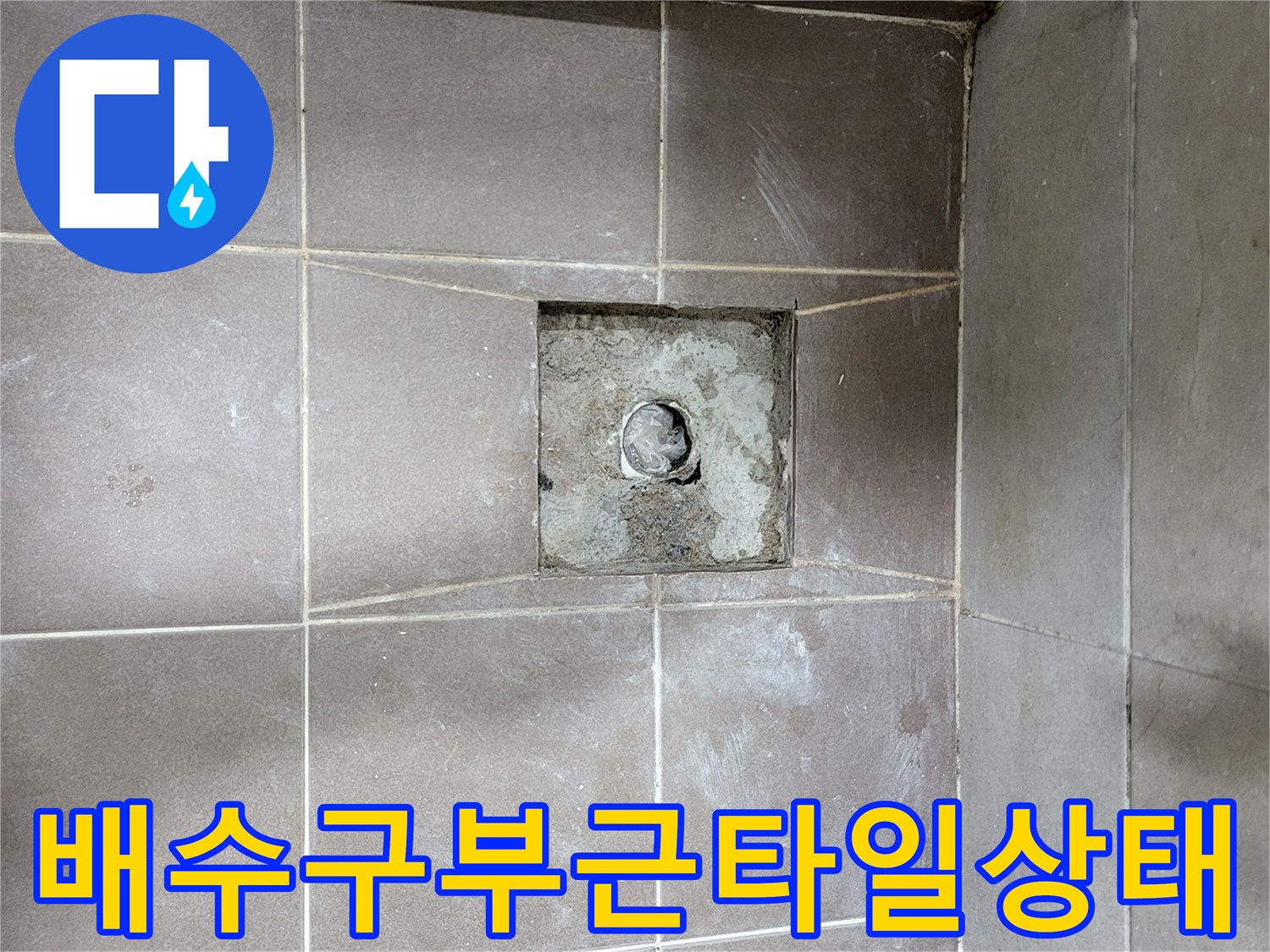 일산동구-욕실-배수구-주변-배관-노출-모습