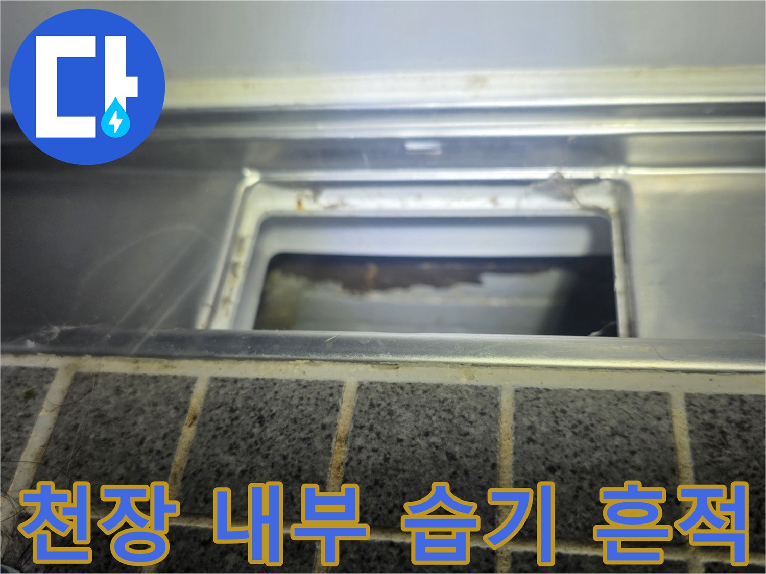 점검구-주변의-습기와-배관-흔적-조사