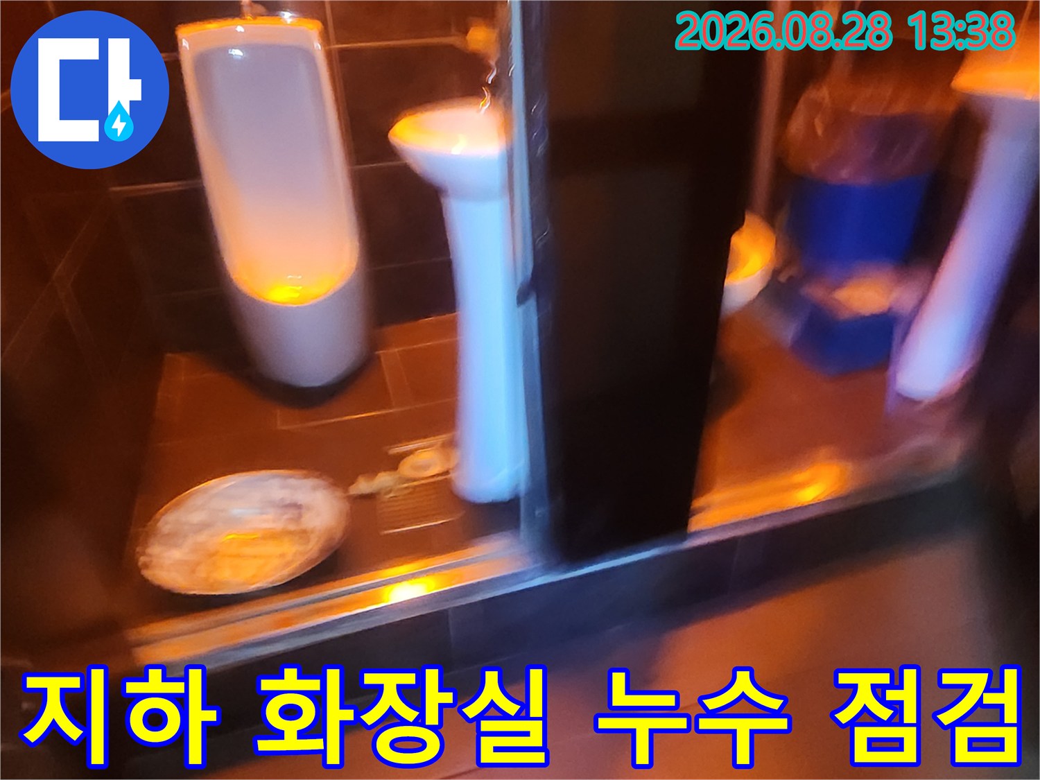 성동구 도선동 지하 화장실 타일 틈새 물고임 현상 촬영