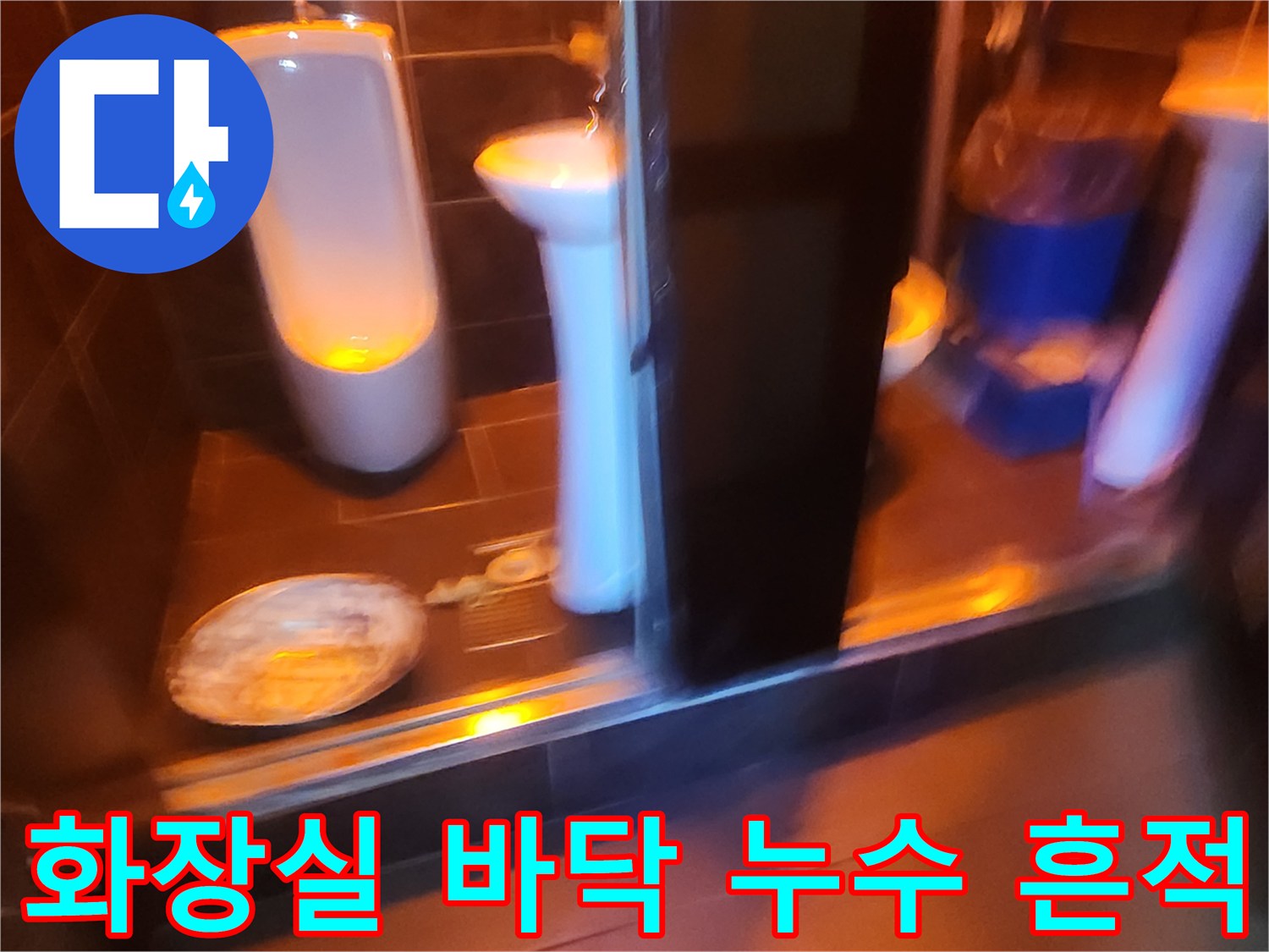 성동구 도선동-화장실 타일 사이로 물이 새어 나오는 현장 사진