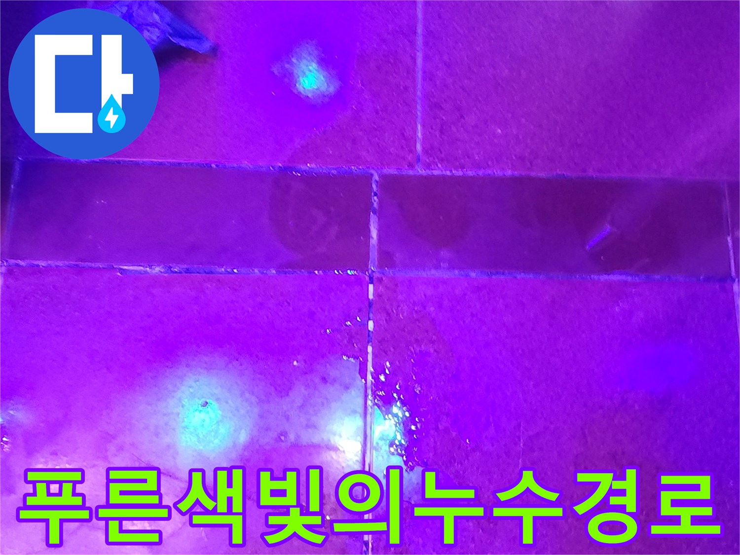 자외선-랜턴에-반응하는-타일-사이-물샘-지점