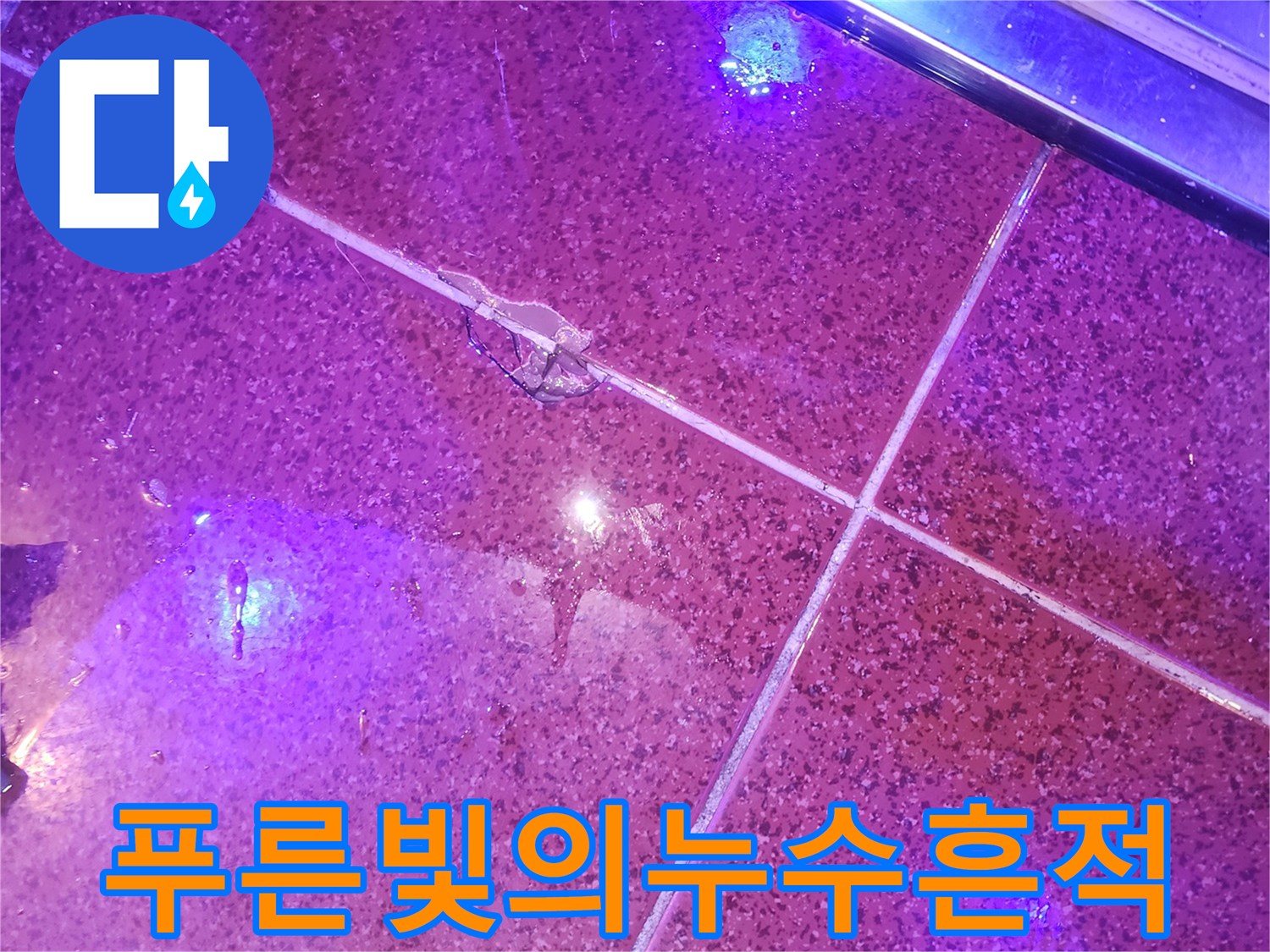 자외선-조명에-반응하는-타일-사이-습기