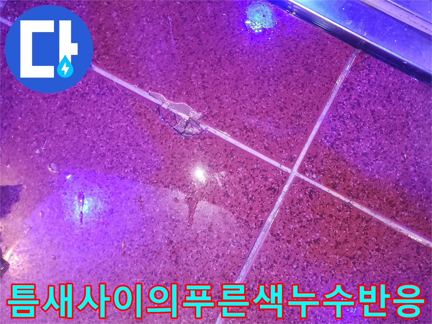 타일-틈새에서-뿜어져-나오는-푸른색-물길-반응