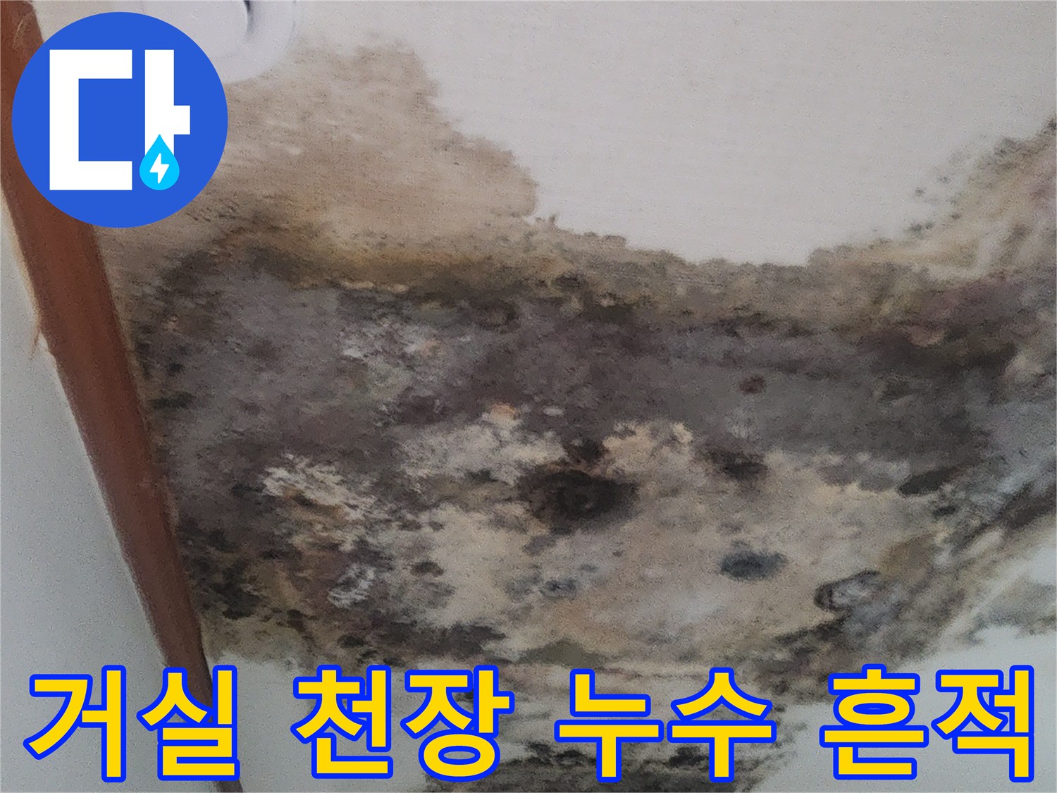 거실-천장-벽면에-발생한-누수-및-곰팡이-흔적