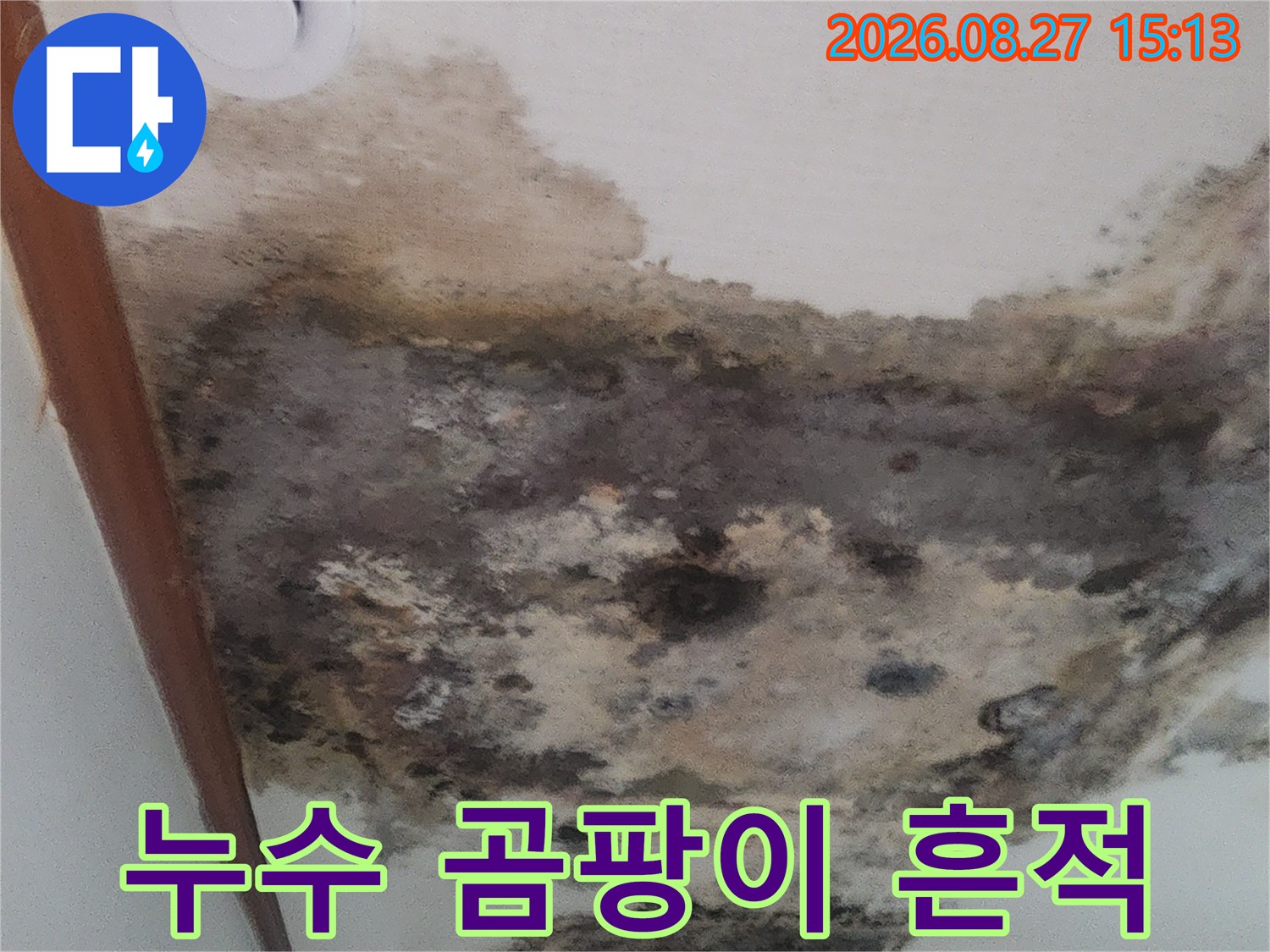 거실 천장에 발생한 누수 자국과 검은색 곰팡이 오염 상태